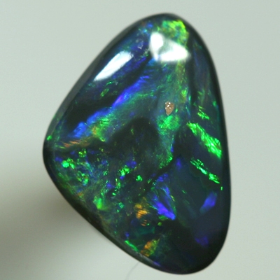 SOLID BLACK OPAL Bright orange amongst green